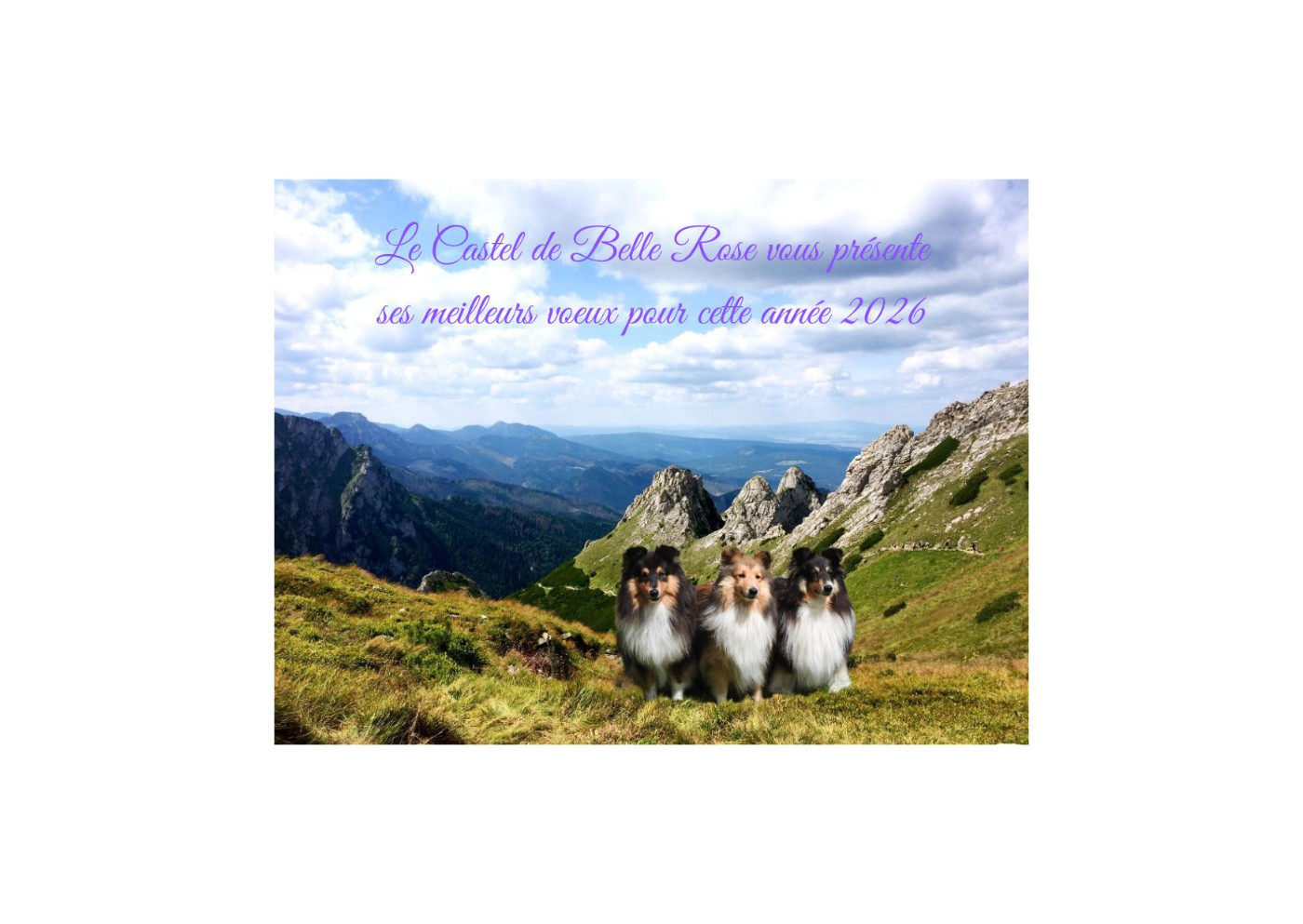 Meilleurs voeux 2026